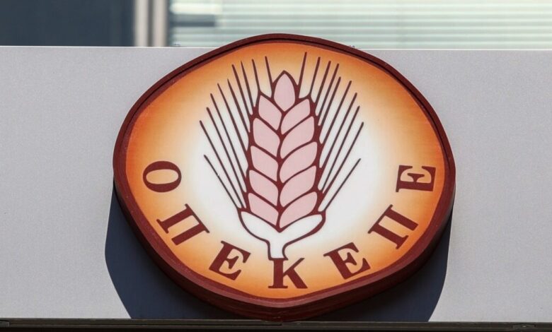 ΠΑΣΟΚ-για-ΟΠΕΚΕΠΕ:-Η-ΝΔ-έπαιζε-τα-ρέστα-της-με-τον-πειθαρχικό-έλεγχο-σε-μέλος-μας-γιατί-ερχόταν-τσουνάμι-για-επιφανές-«γαλάζιο»-στέλεχος