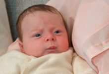 Βρετανία:-Γεννήθηκε-βρέφος-από-μητέρα-με-μεταμόσχευση-μήτρας-από-νεκρή-δότρια