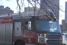 Μίσιγκαν:-Μωρό-8-μηνών-έπεσε-σε-λίμνη-–-Το-έσωσε-ένας-30χρονος-που-δεν-γνώριζε-κολύμπι