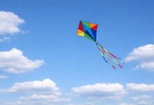 Τρίκαλα:-Τα-παιδιά-της-Βάσως-πέταξαν-χαρταετό-«για-να-φτάσει-στη-μαμά»