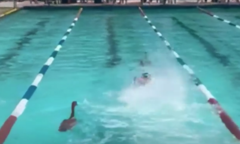 Χήνες-εισέβαλαν-σε-πισίνα-κατά-τη-διάρκεια-σχολικών-αγώνων-κολύμβησης-στο-Κέιπ-Τάουν
