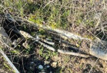 Οι-έρευνες-της-ΕΛΑΣ-για-τη-δολιοφθορά-στα-καλώδια-τηλεδιοίκησης-του-ΟΣΕ-–-Τα-πρώτα-στοιχεία-και-τα-ερωτήματα