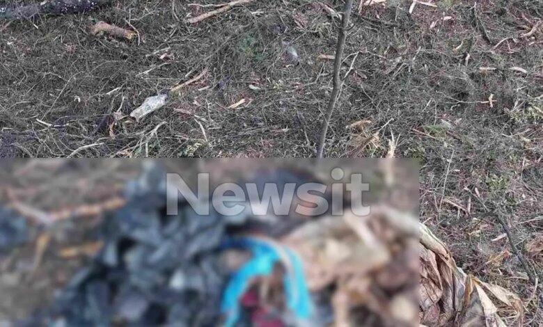 Χαλκιδική:-Βρέθηκε-σακούλα-με-ανθρώπινα-οστά-–-«Ήταν-μέσα-σε-βαλίτσα»-περιγράφει-ο-πρόεδρος-του-Πευκοχωρίου-που-την-βρήκε