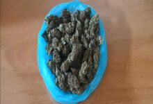 Τρίκαλα:-138-γρ.-κάνναβης-στο-σπίτι-67χρονου