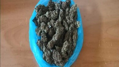 Τρίκαλα:-138-γρ.-κάνναβης-στο-σπίτι-67χρονου