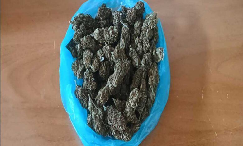 Τρίκαλα:-138-γρ.-κάνναβης-στο-σπίτι-67χρονου