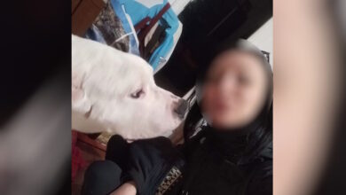 Κολωνός:-Αναπάντητα-ερωτήματα-για-την-31χρονη-έγκυο-που-βρέθηκε-νεκρή-–-Έχει-προσαχθεί-ο-σύντροφός-της