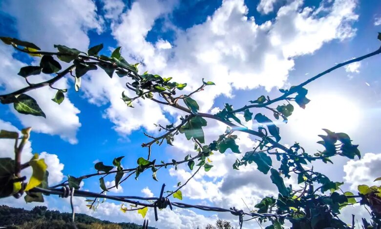 Καιρός-αύριο:-Λιακάδα-με-λίγη-συννεφιά-στο-μεγαλύτερο-μέρος-της-χώρας-–-Πιθανότητα-βροχών-στην-Κρήτη