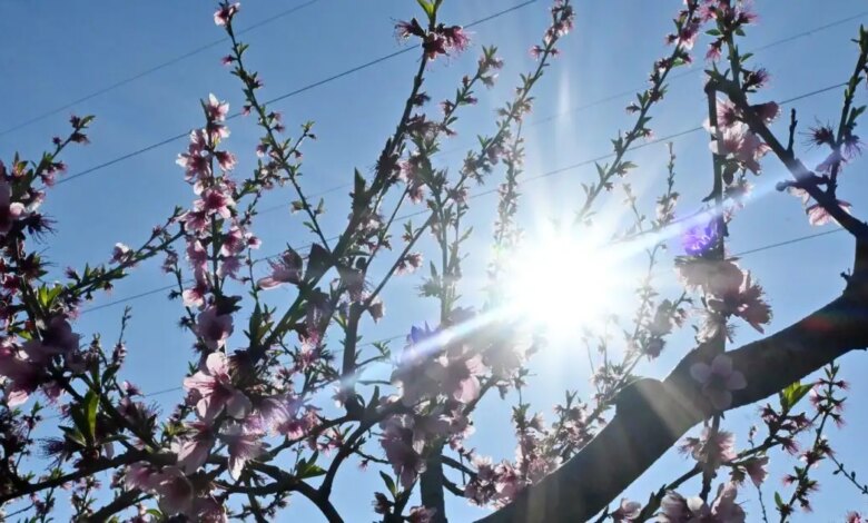 Καιρός-σήμερα:-Ηλιοφάνεια-με-λίγη-συννεφιά-–-Βροχές-σε-περιοχές-της-Κρήτης