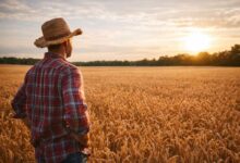 Στη-Βουλή-τα-αιτήματα-Βιοκαλλιεργητών-Θεσσαλίας-για-σπόρους