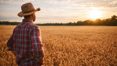 Στη-Βουλή-τα-αιτήματα-Βιοκαλλιεργητών-Θεσσαλίας-για-σπόρους