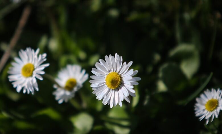Καιρός-σήμερα:-Στους-20-βαθμούς-θα-σκαρφαλώσει-η-θερμοκρασία