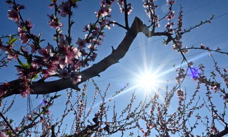 Καιρός-αύριο:-Ανοιξιάτικο-σκηνικό-με-άνοδο-της-θερμοκρασίας