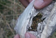 Σύλληψη-60χρονου-στα-Τρίκαλα-για-0,9-γρ.-κάνναβης