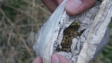 Σύλληψη-60χρονου-στα-Τρίκαλα-για-0,9-γρ.-κάνναβης