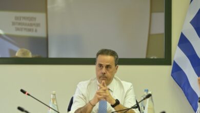 Παπασταύρου:-Στη-χώρα-μας-υπάρχει-επάρκεια-εφοδιασμού-–-Η-ενεργειακή-ασφάλεια-συνιστά-εθνική-προτεραιότητα
