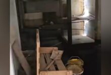 Κύπρος:-Καταφύγια-σε-πλήρη-εγκατάλειψη,-μέσα-σε-λάσπες-και-σκουπίδια