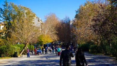 meteo:-Ο-χειμώνας-2025-2026-είναι-ο-δεύτερος-θερμότερος-στην-Ελλάδα-από-το-1960