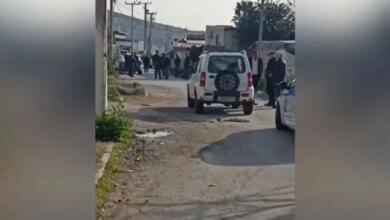 Άνω-Λιόσια:-Μεγάλη-επιχείρηση-της-αστυνομίας-για-ρευματοκλοπές,-κατασχέθηκαν-καλώδια-1650-μέτρων,-12-συλλήψεις