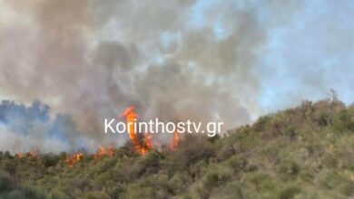 Φωτιά-στα-Σοφιανά-Κορινθίας-–-Ισχυρές-δυνάμεις-στο-σημείο