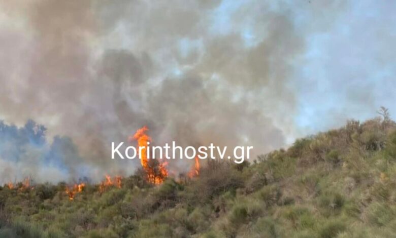 Φωτιά-στα-Σοφιανά-Κορινθίας-–-Ισχυρές-δυνάμεις-στο-σημείο