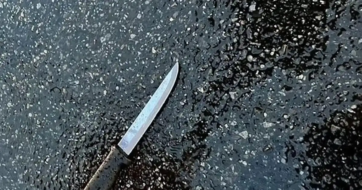 Πτολεμαΐδα:-54χρονος-μαχαίρωσε-τον-49χρονο-αδερφό-του-μετά-από-καβγά