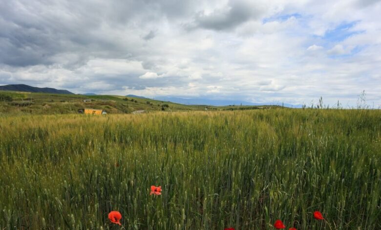 Καιρός-σήμερα:-Βροχές-σε-δυτικά,-κεντρικά-και-βόρεια-με-«βουτιά»-της-θερμοκρασίας