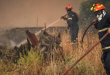 Φωτιά-στη-Σητεία,-30-πυροσβέστες-και-2-ομάδες-δασοκομάντο-στη-μάχη-με-τις-φλόγες