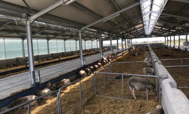 Εργασιακή-εμπειρία-σε-κτηνοτροφικές-μονάδες-της-Θεσσαλίας-–-748-ευρώ-τον-μήνα-για-250-ανέργους