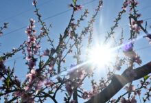 Καιρός-σήμερα:-Ανοιξιάτικο-σκηνικό-με-υψηλές-θερμοκρασίες