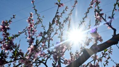 Καιρός-σήμερα:-Ανοιξιάτικο-σκηνικό-με-υψηλές-θερμοκρασίες