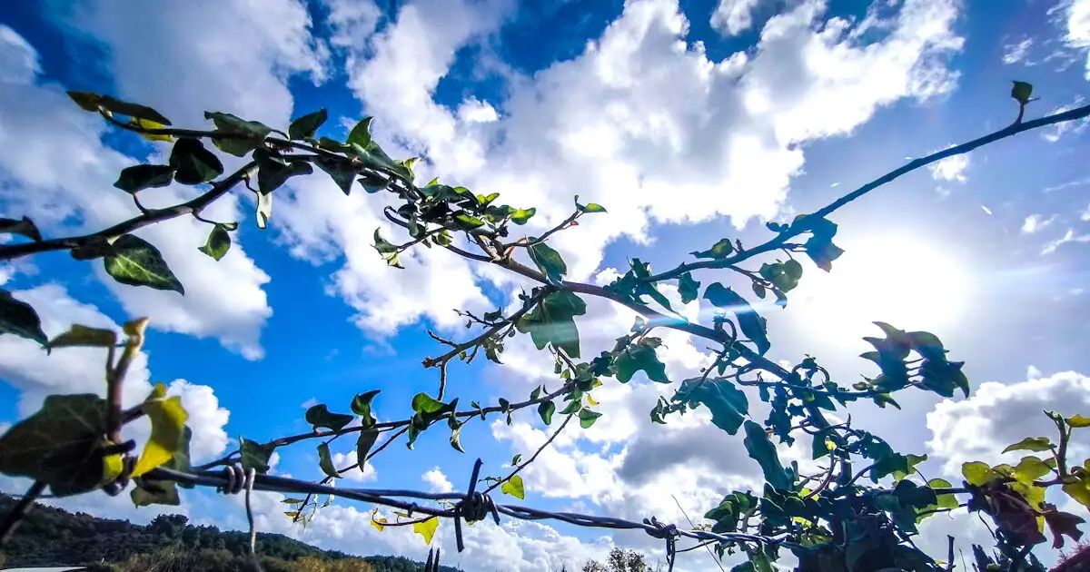 Καιρός-αύριο:-Άνοδος-της-θερμοκρασίας-και-μποφόρ-στο-Αιγαίο