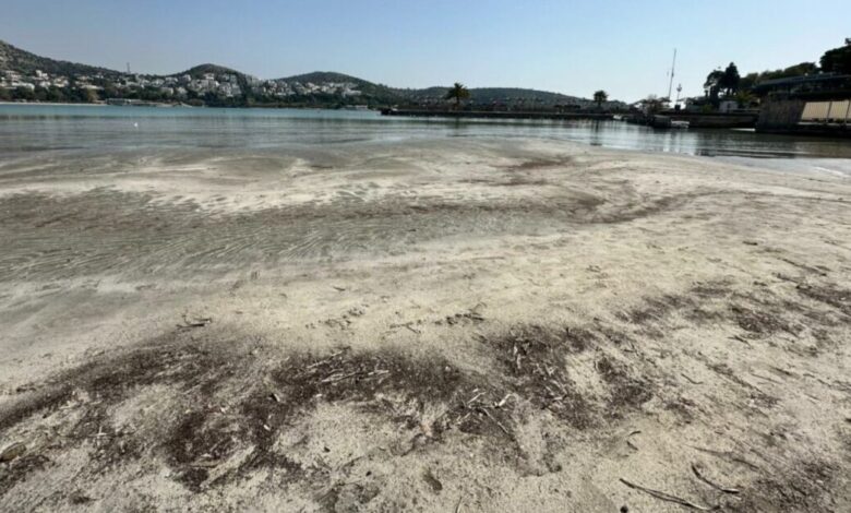 Περίεργο-φαινόμενο-στη-Βουλιαγμένη:-Υποχώρησε-η-θάλασσα-και-φάνηκε-η-στεριά