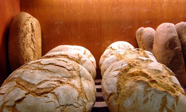 Ψωμί:-Πόσο-πιθανό-είναι-να-ακριβύνει-λόγω-πολέμου-–-Το-+2%-τον-Φεβρουάριο-οφείλεται-στο-βιομηχανικό-ψωμί-λένε-οι-φούρνοι