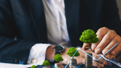 Το-32%-των-πόρων-του-rrf-αφορά-την-ενέργεια-–-Η-Ελλάδα-επιτυγχάνει-την-ενεργειακή-μετάβαση-και-αποθήκευση-με-ταχύτητα-–-ρεκόρ-στο-Ταμείο-Ανάκαμψης