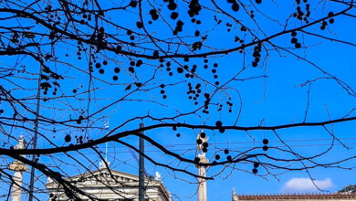 Καιρός-αύριο:-Λιακάδα-με-λίγες-νεφώσεις-–-Πιθανότητα-βροχών-στα-ηπειρωτικά