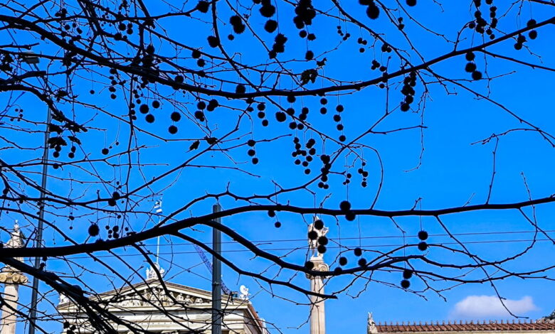 Καιρός-αύριο:-Λιακάδα-με-λίγες-νεφώσεις-–-Πιθανότητα-βροχών-στα-ηπειρωτικά