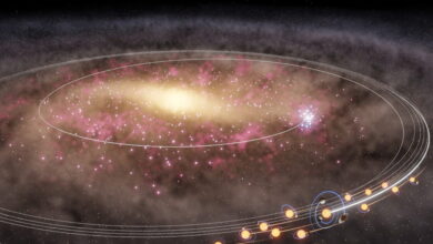 Ο-Ήλιος-και-τα-χαμένα-«αδέλφια»-του:-Μετανάστευσαν-από-το-κέντρο-του-Γαλαξία-πριν-δισεκατομμύρια-χρόνια