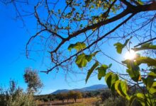 Καιρός-σήμερα:-Στους-19-βαθμούς-η-θερμοκρασία-με-ισχυρούς-ανέμους-στο-Αιγαίο