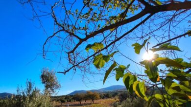 Καιρός-σήμερα:-Στους-19-βαθμούς-η-θερμοκρασία-με-ισχυρούς-ανέμους-στο-Αιγαίο