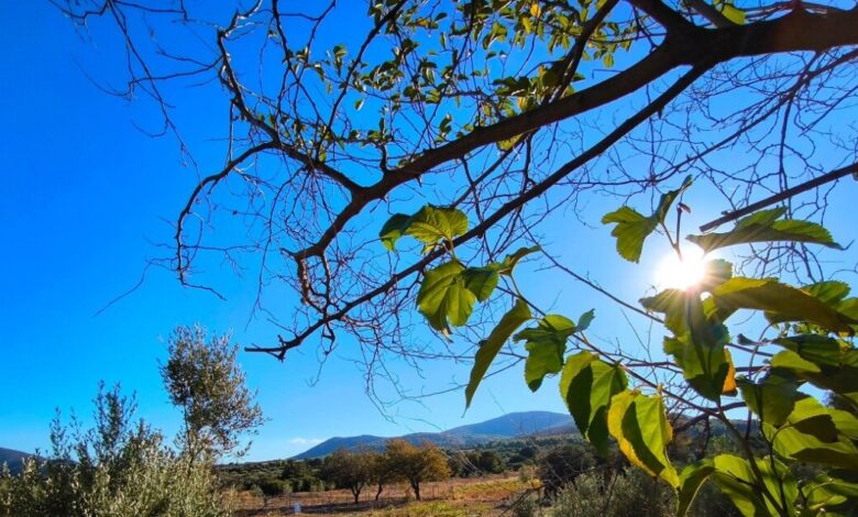 Καιρός-σήμερα:-Στους-19-βαθμούς-η-θερμοκρασία-με-ισχυρούς-ανέμους-στο-Αιγαίο