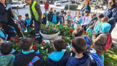 Ομόρφυνε-με-λουλούδια-η-πλατεία-Αγροτικής-Εξέγερσης,-με-συνεργασία-ΣΕΟ-–-Δήμου-Τρικκαίων