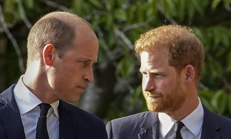 Ο-Γουίλιαμ,-ο-Χάρι-και-το-τραύμα-που-δεν-λέει-να-επουλωθεί