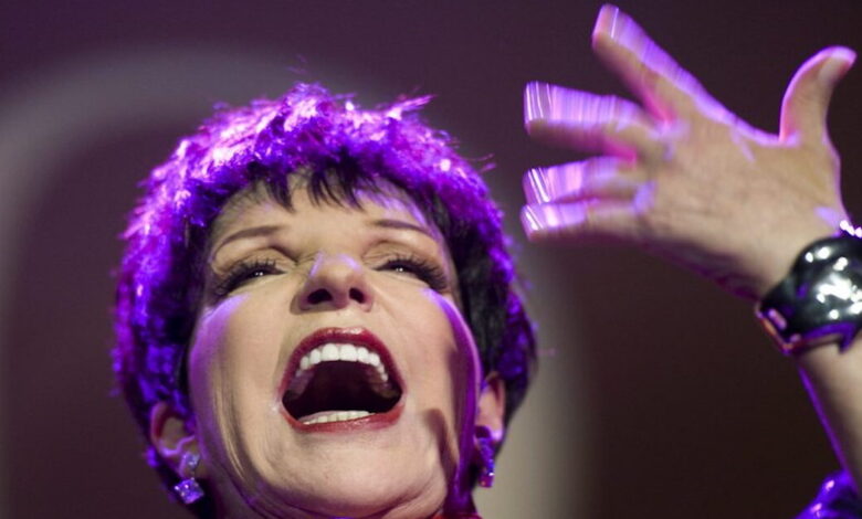 Λάιζα-Μινέλι:-«Το-αυθεντικό-nepo-baby»,-οι-εξαρτήσεις-και-η-στιγμή-που-έπιασε-τον-σύζυγό-της-να-κάνει-σεξ-με-άλλον-άνδρα