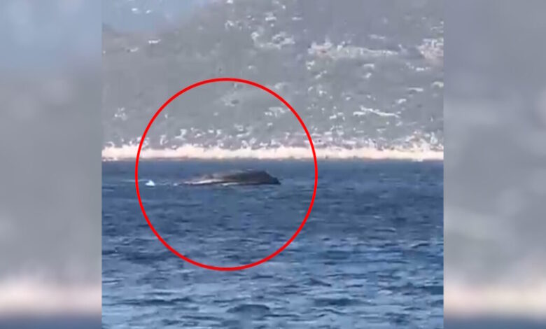 Καστελόριζο:-Βίντεο-από-τη-στιγμή-της-βύθισης-του-σκάφους-της-frontex-–-Στο-νοσοκομείο-Ρόδου-η-πρέσβης-της-Εσθονίας