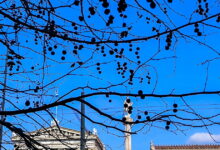 Καιρός-σήμερα:-Τους-18-βαθμούς-θα-φτάσει-η-θερμοκρασία