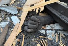 Τουλάχιστον-400-νεκροί-από-πακιστανική-επίθεση-σε-κέντρο-απεξάρτησης-στην-Καμπούλ