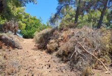 ΥΠΕΣ:-Πάνω-από-700.000-ευρώ-για-δράσεις-πυροπροστασίας-σε-4-δήμους-των-Τρικάλων