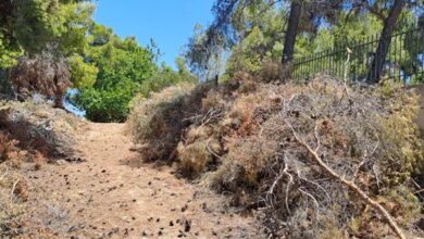 ΥΠΕΣ:-Πάνω-από-700.000-ευρώ-για-δράσεις-πυροπροστασίας-σε-4-δήμους-των-Τρικάλων