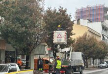 Κλάδεμα-δέντρων-στην-οδό-Τσιτσάνη-εν-μέσω-βροχής